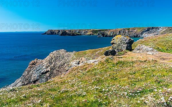 Kynance Cove and Asparagus Island, Cornwall