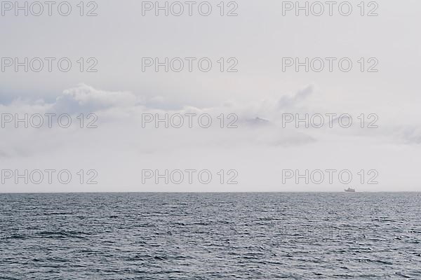 Whale watching boat, Fjord