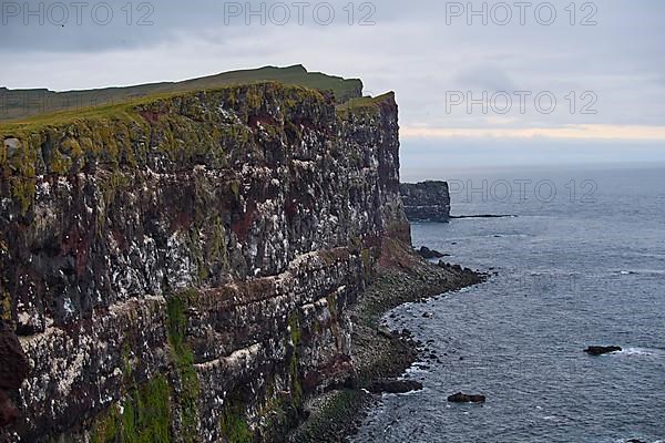 Large bird cliffs, Latrabjarg