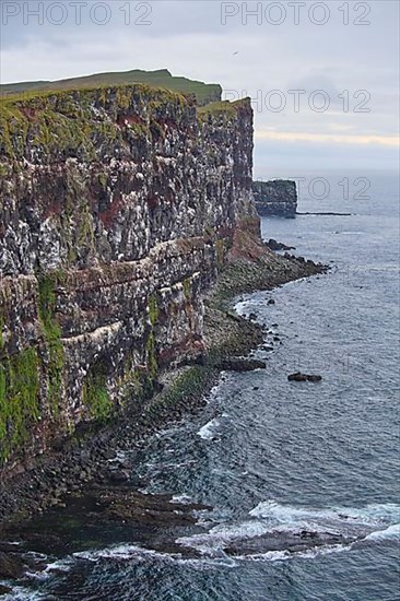 Large bird cliffs, Latrabjarg