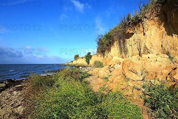 Beach of Klein Zicker dreamlike landscape on the Baltic Sea island of Ruegen. Moenchgut, Mecklenburg-Western Pomerania