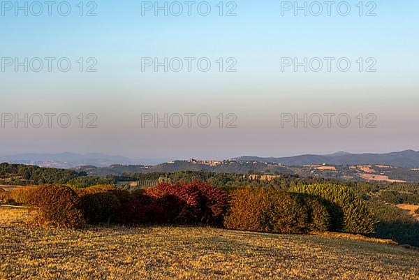 View of the Maremma, sunrise