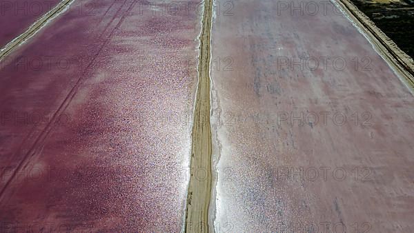 Aerial of the colourful salinas of Las Coloradas, Yucatan