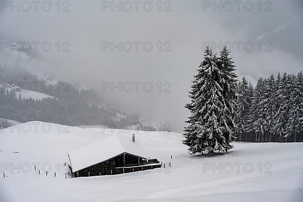 snowfall, mountain hut in the snow