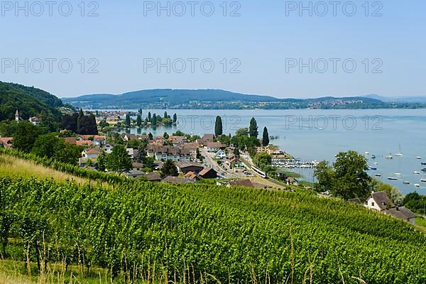 View from Arenenberg to Mannenbach, Salenburg