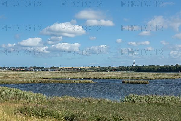 Biotope, Graswarder peninsula