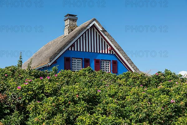 Thatched roof house, Graswarder peninsula