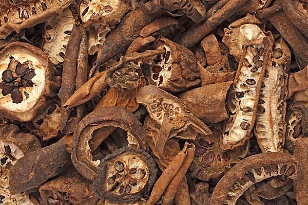 Medicinal plant, dried fruits of finger-leaved akebia