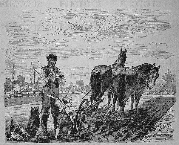 First attempt of the farmer's boy to plough the field with the horse and cart and the plough, Historical