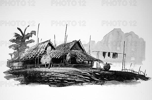 Fish in a fishing village, Fishing boat