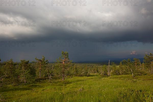 Riisitunturi with thunderstorm atmosphere, Riisitunturi National Park