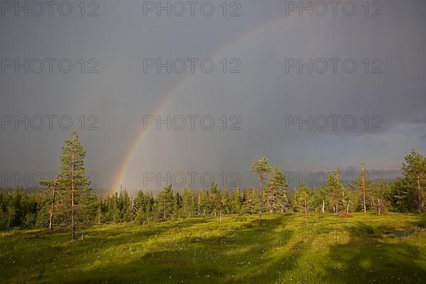 Riisitunturi with thunderstorm atmosphere and rainbow, Riisitunturi National Park