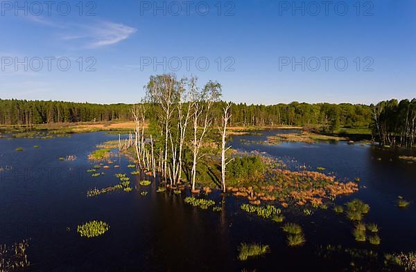 Schlichter Moor, landscape shaped by the Weichsee Ice Age