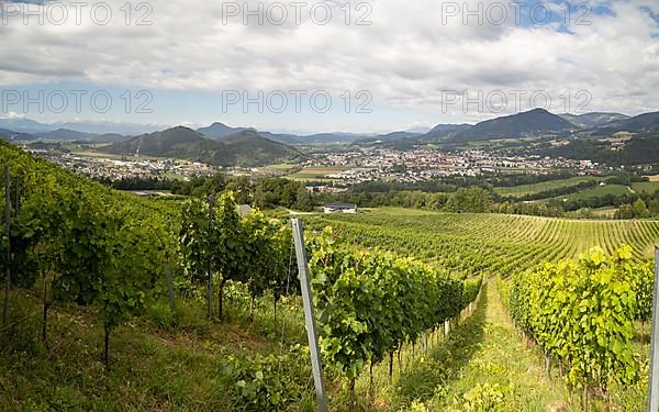 View from Taggenbrunn Castle over the Taggenbrunn Winery to St. Veit, Carinthia