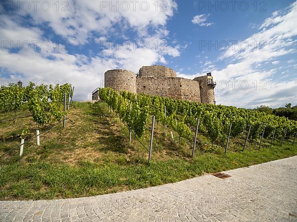 Taggenbrunn Castle, near St. Veit