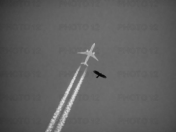 Aeroplane, condensation trails