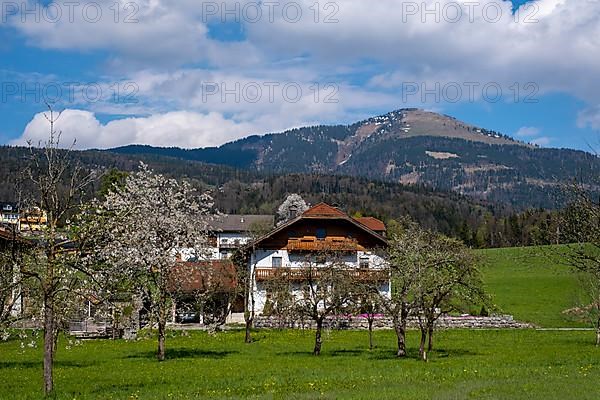 Farms, behind the Schlenken