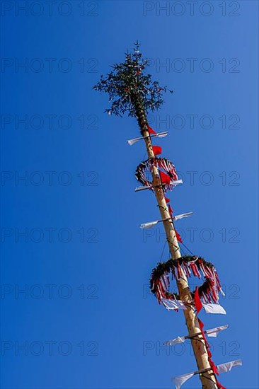 Maypole, Obernberg am Inn