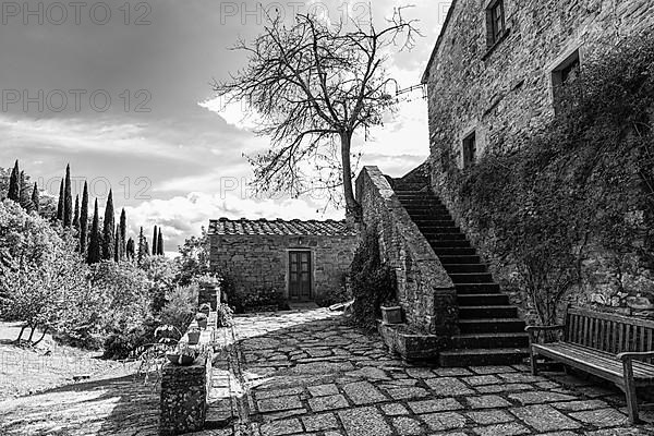 Oil mill of the La Villa winery, Castiglioni Fibocchi