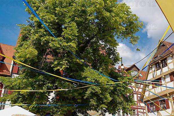 Festival in the Gerber and Fishermen's Quarter, decorated tree