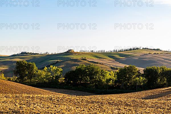 Country houses with cypress avenues on hilly landscape, Tuscany