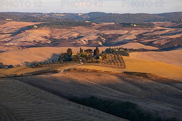 Old country house in the evening light, in hilly landscape of the Crete Senesi