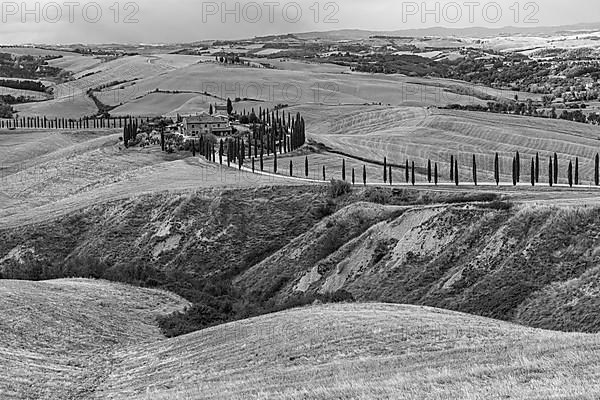 Country house Baccoleno, on the hills of the Crete Senesi