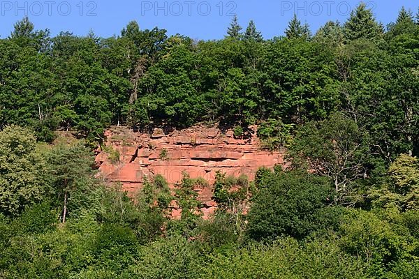 Red sandstone rock near Wertheim, Germany