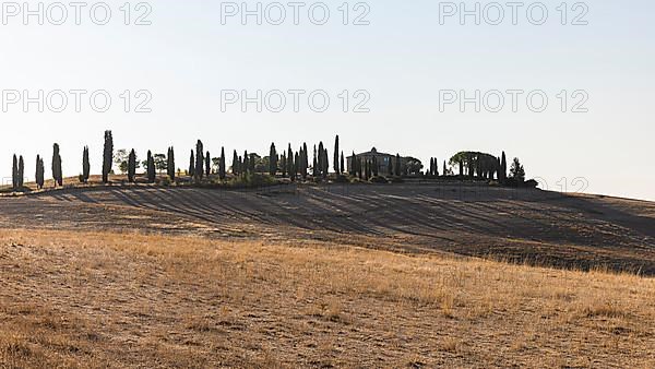 Country house with cypress avenue, on a hill