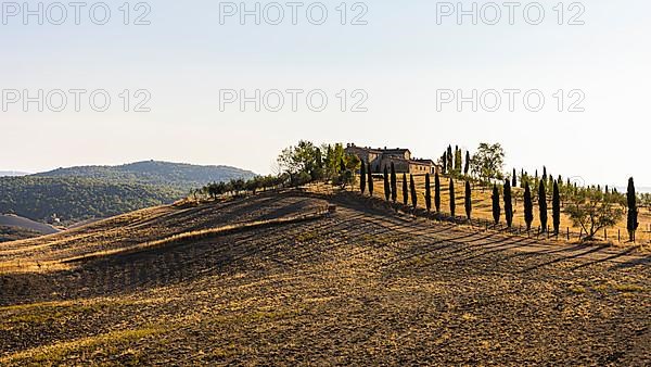 Country house with cypress avenue, on a hill