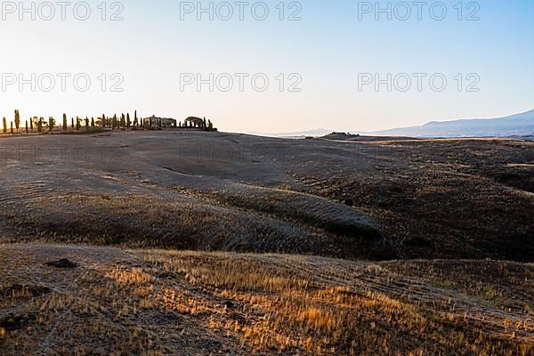 Country house with cypress avenue on a hill, first morning sun