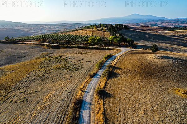 Country house with cypress avenue in morning light, drone shot