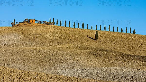 Country house on a hill with cypresses,