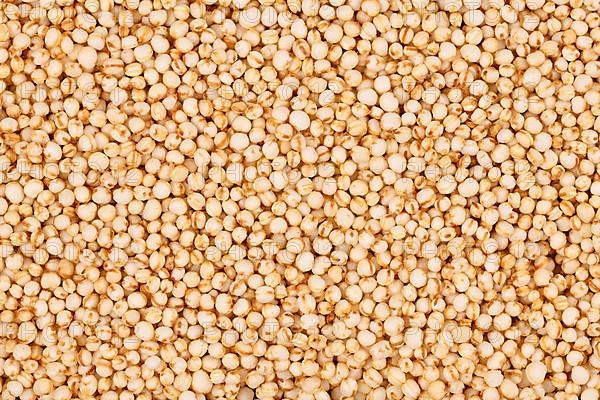 Top view of puffed Quinoa grains,