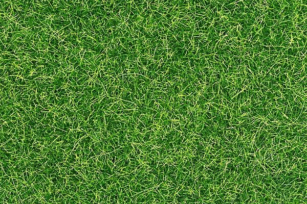 Top view of synthetic turf grass,