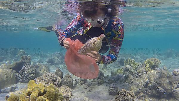 Woman in diving equipment swims and collects plastic debris underwater on the bottom of coral reef. Snorkeler cleaning Ocean from plastic pollution. Plastic pollution of the Ocean. Red sea, Egypt