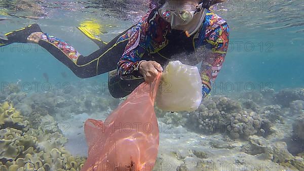 Woman in diving equipment swims and collects plastic debris underwater on the bottom of coral reef. Snorkeler cleaning Ocean from plastic pollution. Plastic pollution of the Ocean. Red sea, Egypt