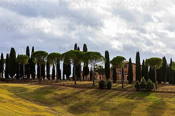 Altesino Winery, framed by cypresses