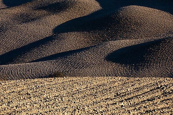 Hilly and ploughed field, near Asciano