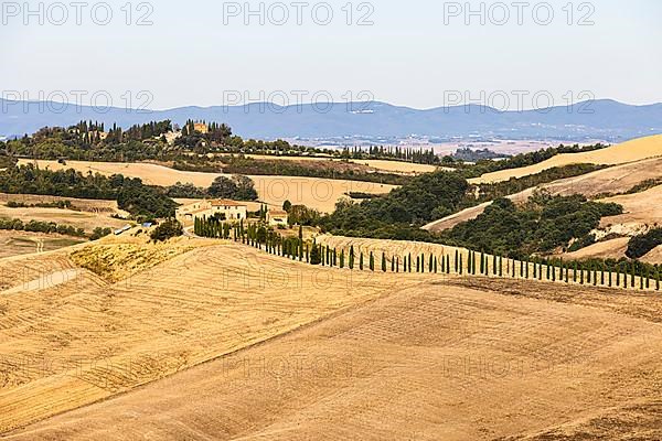 Estates above the hilly landscape of the Crete Senesi, near Asciano