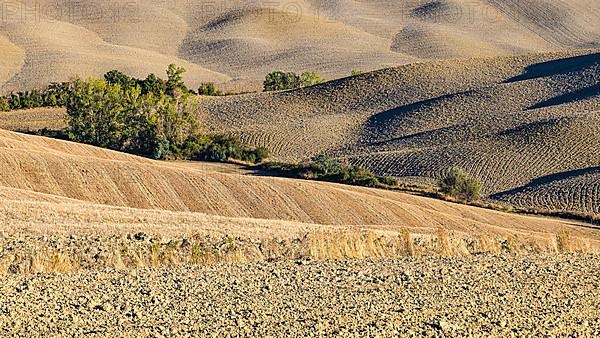 Hilly and ploughed field, near Asciano