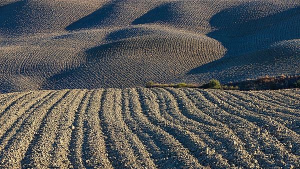 Hilly and ploughed field, near Asciano