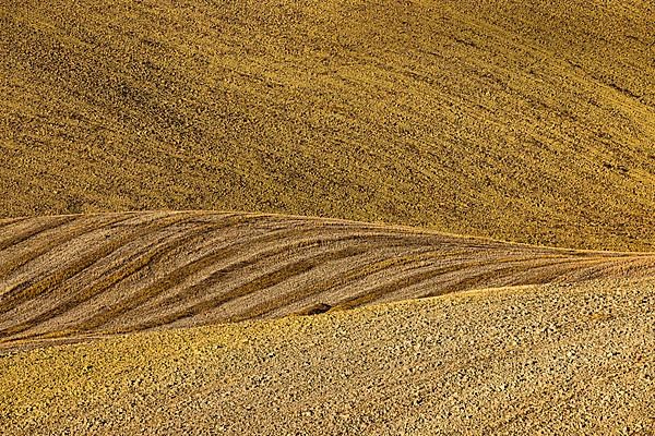 Field after harvest in hilly landscape, near Asciano