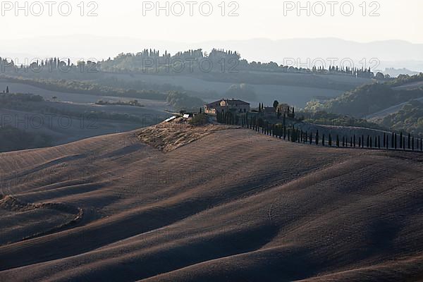 Country house with cypress avenue, in hilly landscape