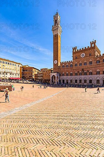Piazza del Campo with the Torre del Mangia bell tower, Siena