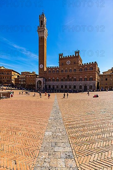 Piazza del Campo with the Torre del Mangia bell tower, Siena