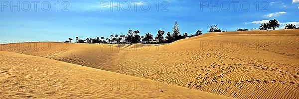 The dunes of Playa Del Ingles with a view of the oasis. San Bartolome de Tirajana, Gran Canaria