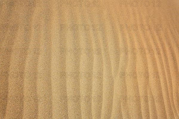 The dunes of Playa Del Ingles in detail. San Bartolome de Tirajana, Gran Canaria