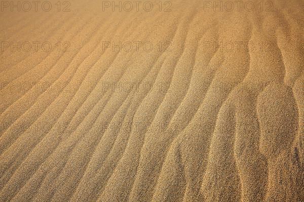 The dunes of Playa Del Ingles in detail. San Bartolome de Tirajana, Gran Canaria