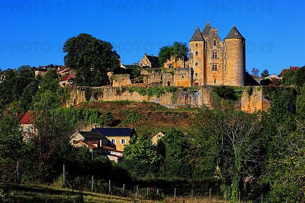 Chateau de Salignac, Salignac Castle